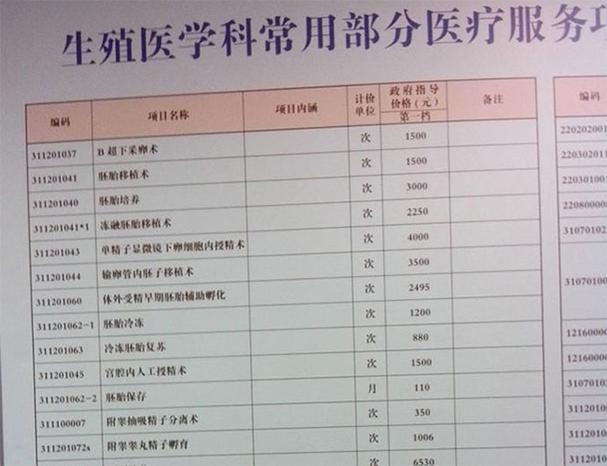 2024最新试管代怀费用_2024最新试管代怀费用解析