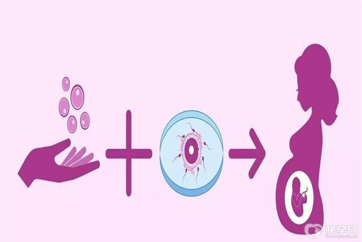 国内借卵试管代怀有吗【国内借卵试管代怀有吗：新选择让生育更便捷】