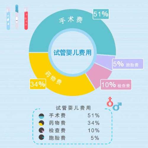 国内借卵试管代怀指南-国内借卵试管代怀指南大揭秘