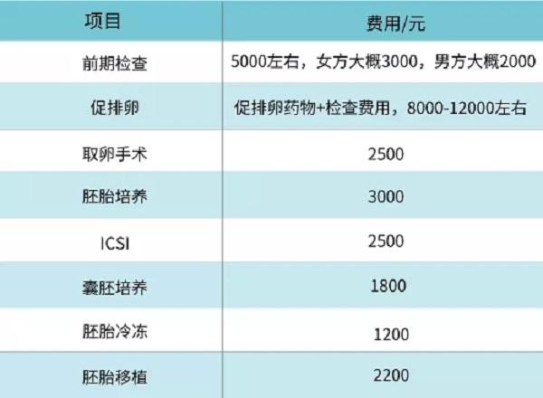 2024试管代怀费用【2024试管代怀费用全面解析】